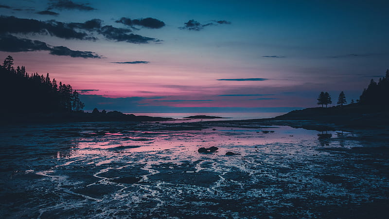 Trees Dusk Lake Silhouette Nature, HD wallpaper