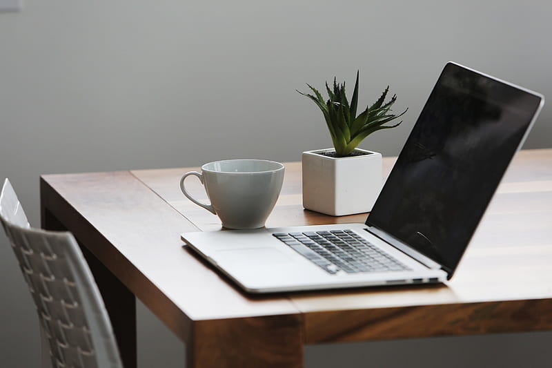 Desk, cup, laptop, plant, HD wallpaper