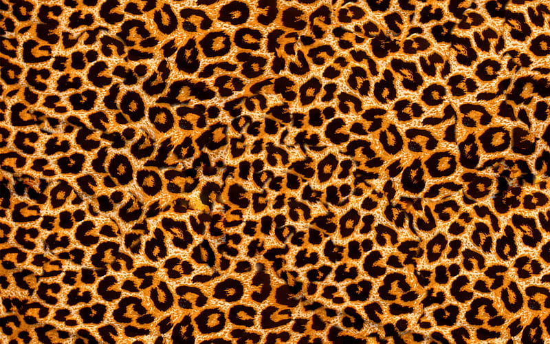 giraffe texture, close-up, giraffe skin texture, brown blots texture, macro, giraffe skin, giraffe background, zebra wool, giraffe leather background, HD wallpaper