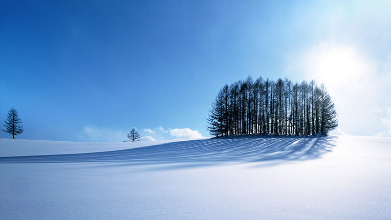 Winter Scene, sun, background, nice, multicolor, landscapes, bright, winterscapes, paisage, wood, star, quiet, brightness, winter, sunrays, tranquil, snow, white, beautiful, seasons, cold, roots, scenery, blue, paisagem, icy, day, nature, branches, pc, scene, high definition, cenario, lightness, calm, scenario, shadows, brilliant, beauty, forests, , paysage, cena, black, trees, sky, panorama, cool, awesome, computer, sunshine, hop, colorful, gray, woods, sunny, graphy, grove, light, amazing, multi-coloured, view, clear, colors, colours, frozen, natural, HD wallpaper