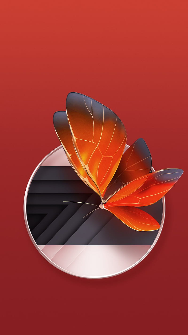 Butterfly, orange, stock , zte nubia z17, HD phone wallpaper
