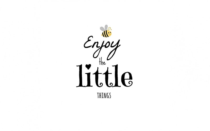 Enjoy, bee, fun, little things, HD wallpaper
