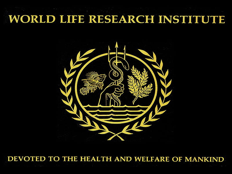 World Life Research Institute, world, institute, health, mankind, life, devotion, abstract, research, HD wallpaper