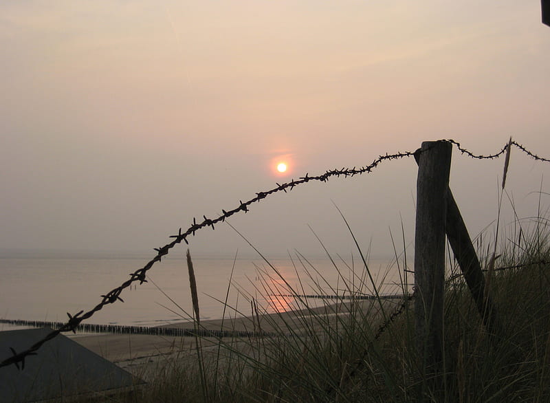 Sunset barbed wire, beach, graphy, sunset, sky, sea, HD wallpaper