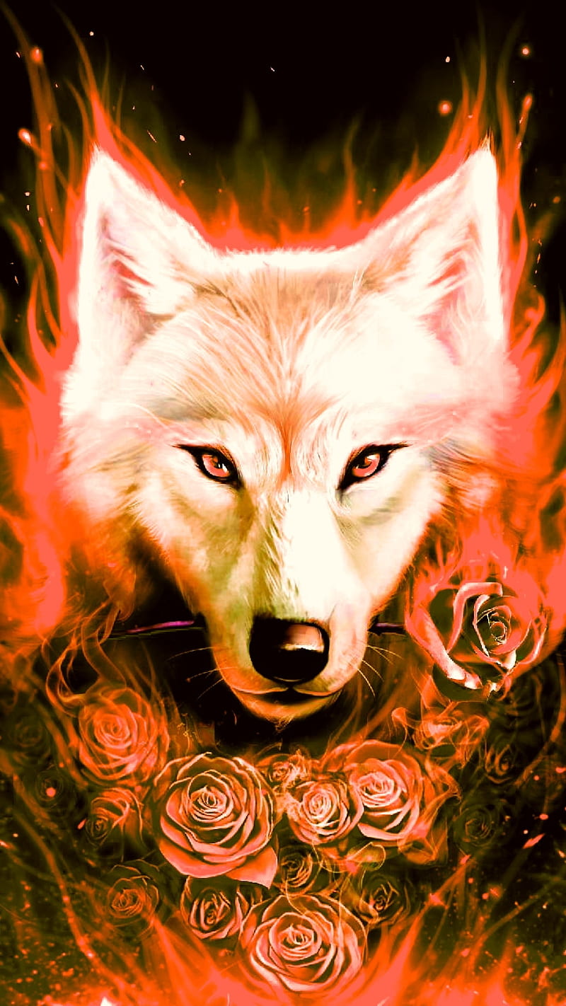 Fire Wolf, rose, HD phone wallpaper