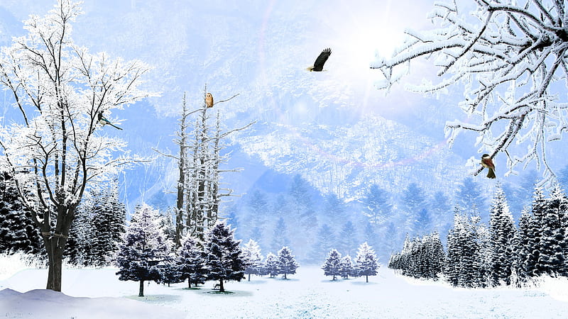 Northwest Winter Day, owl, forest, eagle, firefox persona, trees, winter, cold, chickadee, snow, mountains, HD wallpaper