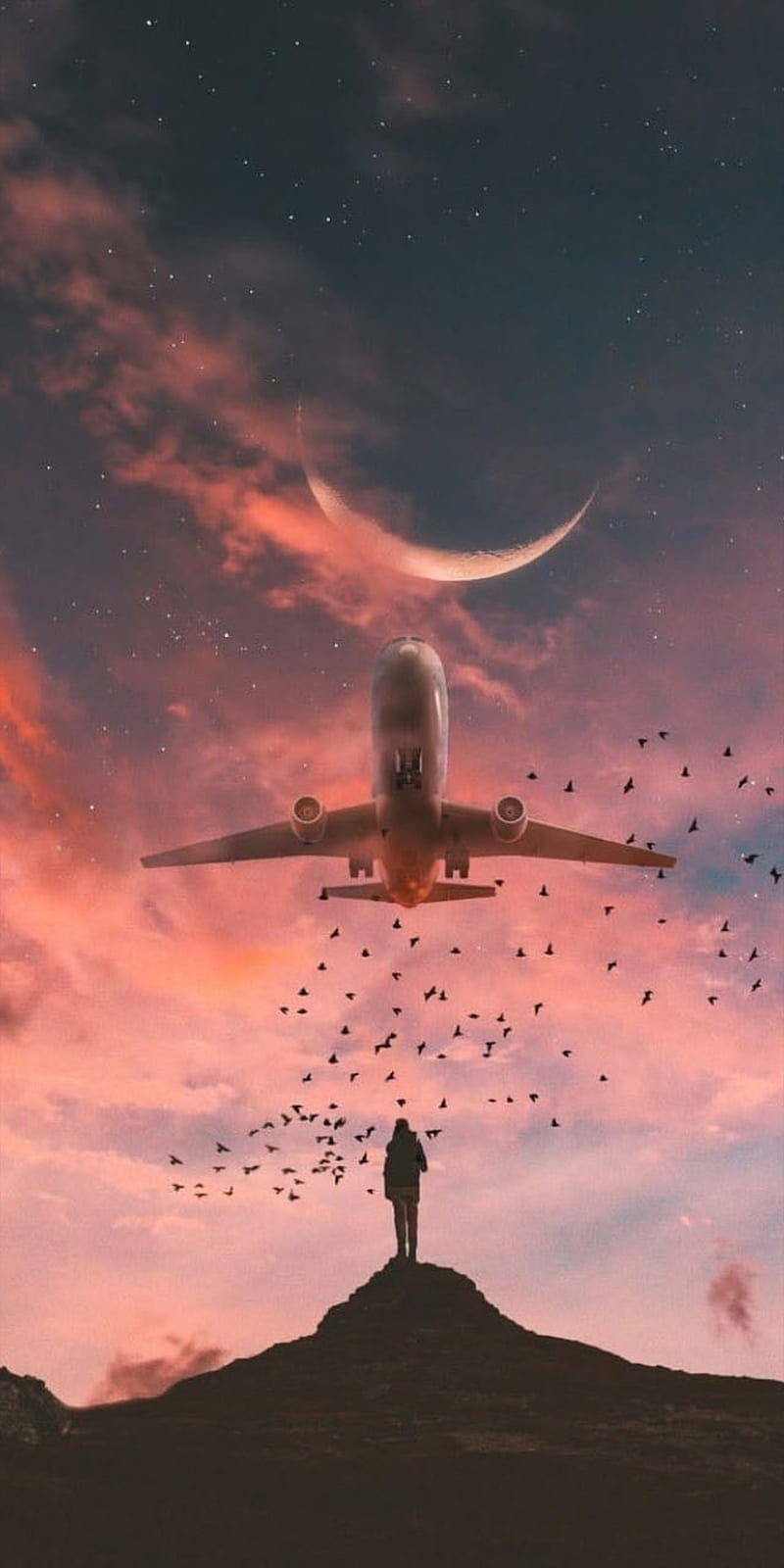 Paisaje , avion, sky, planet, earth, HD phone wallpaper