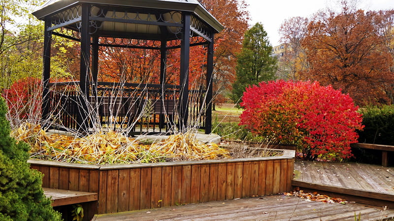 Autumn Gazebo, Fall Gazebo, Gazebo, Scenic Gazebo, HD Wallpaper | Peakpx