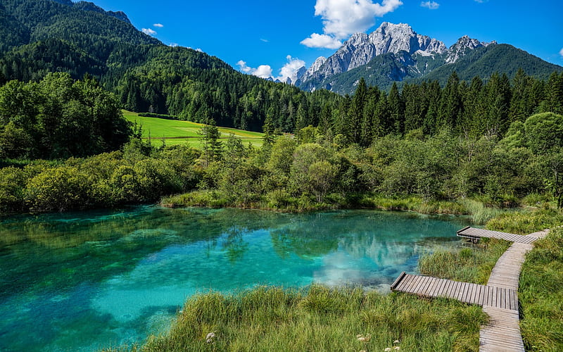 Kranjska Gora, mountain glacial lake, spring, mountain landscape, green grass, Zelenci, Slovenia, HD wallpaper