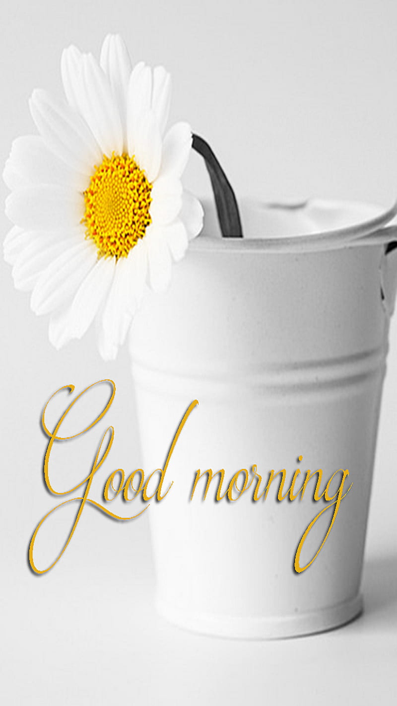 Yellow Flower Good Morning Wallpaper 26807 - Baltana