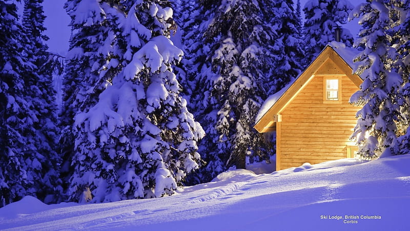 Ski Lodge in Winter Forest, ski lodge, forest, snow, nature, winter, HD wallpaper