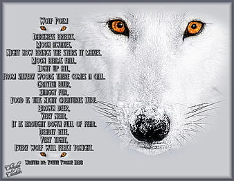 Palabras clave de fondo de pantalla: poema de lobo | Peakpx
