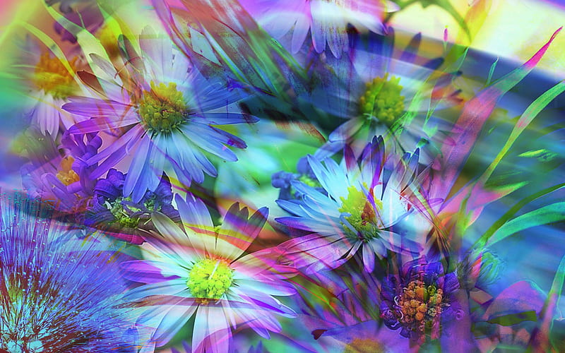 Spring Flowers Abstract, spring, flowers, abstract, HD wallpaper