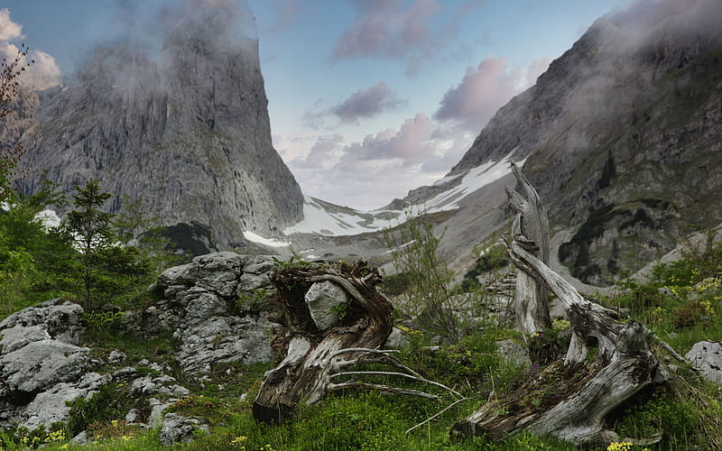 mountain landscape, rocks, spring, green grass, mountains, Alps, Austria, HD wallpaper