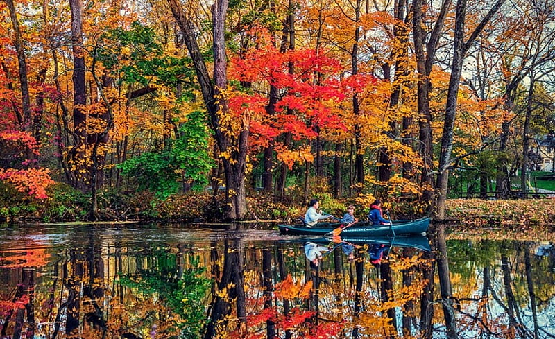 Fall Colors at New Brunswick, forest, leaves, water, boat, trees, HD wallpaper