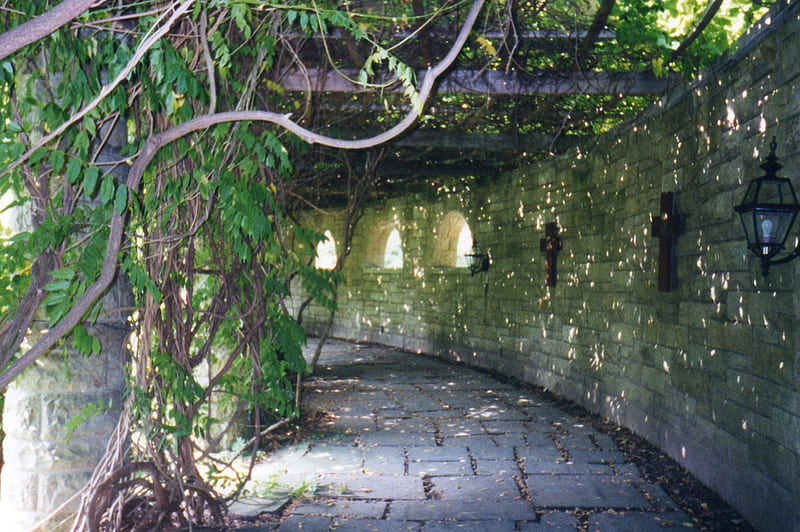 walkway on grounds of monastery, walkway, stone, summer, ivy, monastery, HD wallpaper