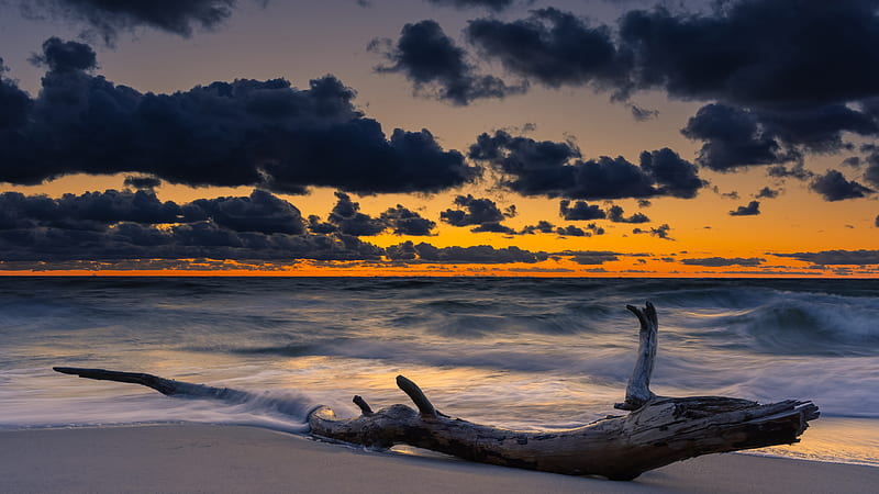 Wood Log On Beach Sand Ocean Waves Under Black Clouds Blue Sky During Sunset Nature, HD wallpaper