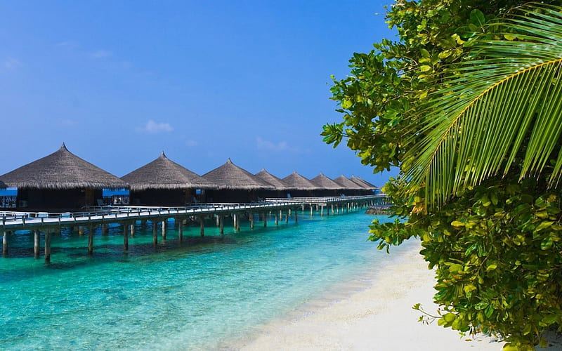 Bungalow hotel on a tropic beach, beach, sea, palms, bungalows, HD ...