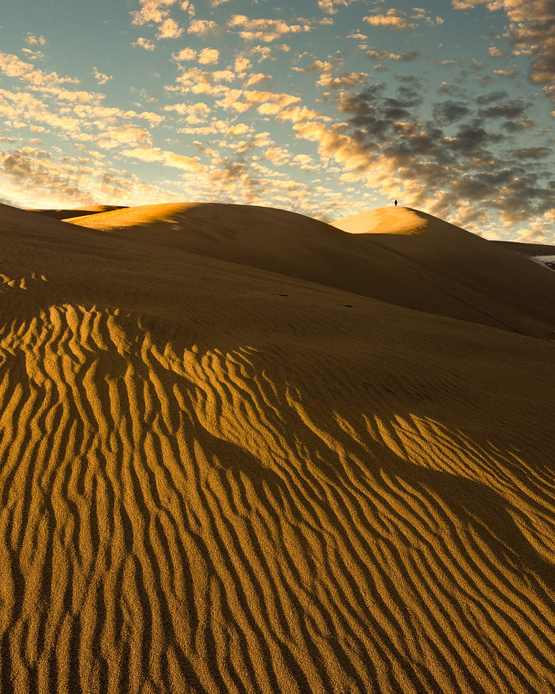 desert, dunes, sand, silhouette, alone, HD phone wallpaper