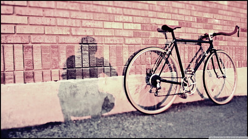 Vintage Schwinn, gray, bicycle, shadow, silhouette, pink, vintage, HD wallpaper