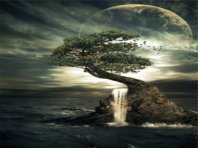 One Tree, moon, cloud, rock, birds, one tree, moonlight, small waterfall, sea, HD wallpaper