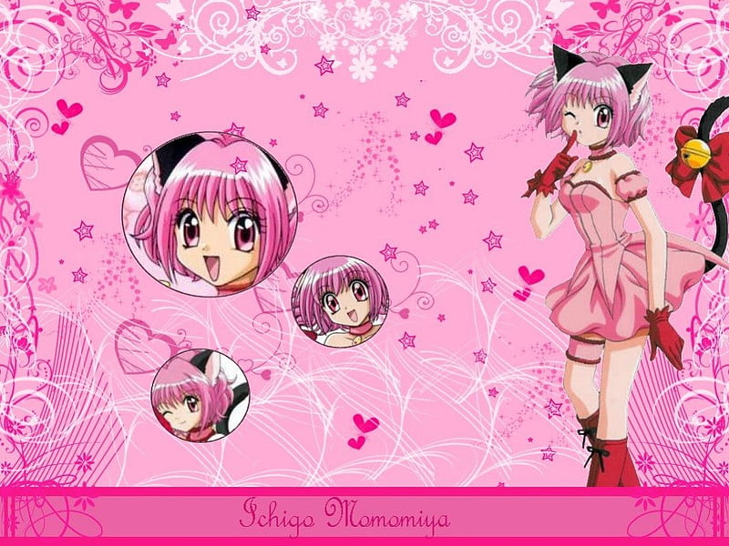 Ichigo Momomiya, stars, black lione cat, mew mew power, corazones, zoey hanson, tokyo mew mew, anime, pink, other, HD wallpaper