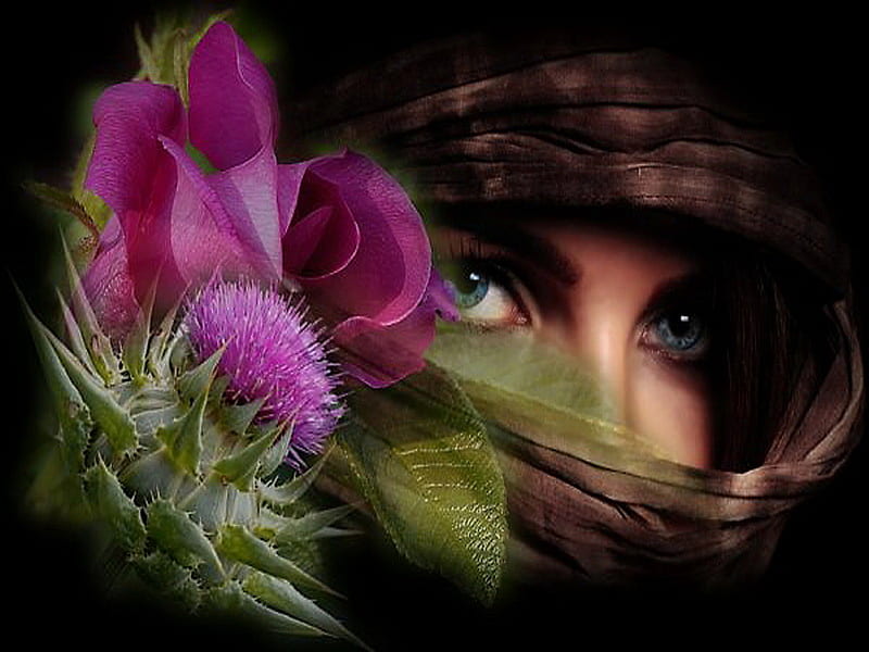 Sweet Rose and thistles, beautiful eyes, thistles, rose, veiled face, green leaves, woman, pink, HD wallpaper