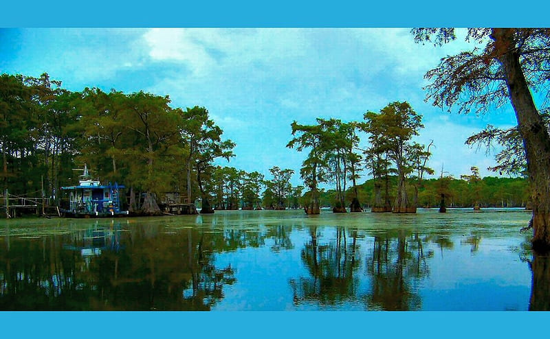 Backwater Living, turquiose, camping, caddo, teal, lake, outdoors, boating, green, cypress, bayou, esports, blue, fishing, HD wallpaper