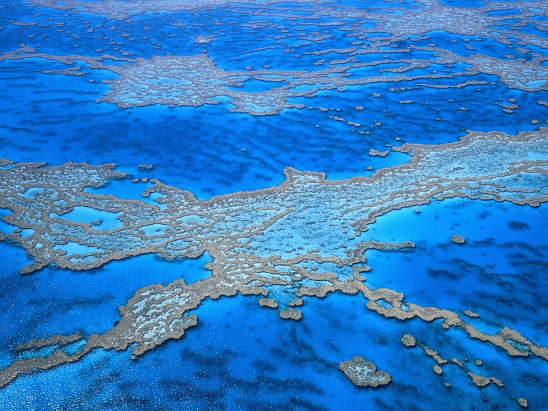 Great Barrier Reef, corals, oceans, australia, reefs, sea, HD wallpaper |  Peakpx