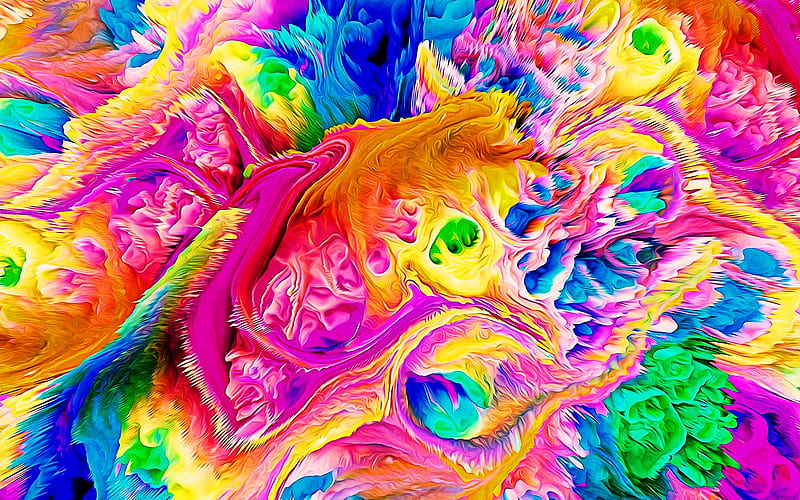 colorful paint splashes, liquid textures, abstract art, creative, abstract splashes, colorful backgrounds, abstract backgrounds, paint splashes textures, HD wallpaper