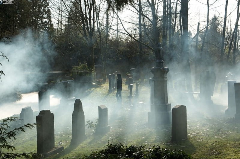 ~Mystic Falls Cemetery~, Mystic Falls, cemetery, tombstones, Elena, The vampire Diaries, fog, HD wallpaper