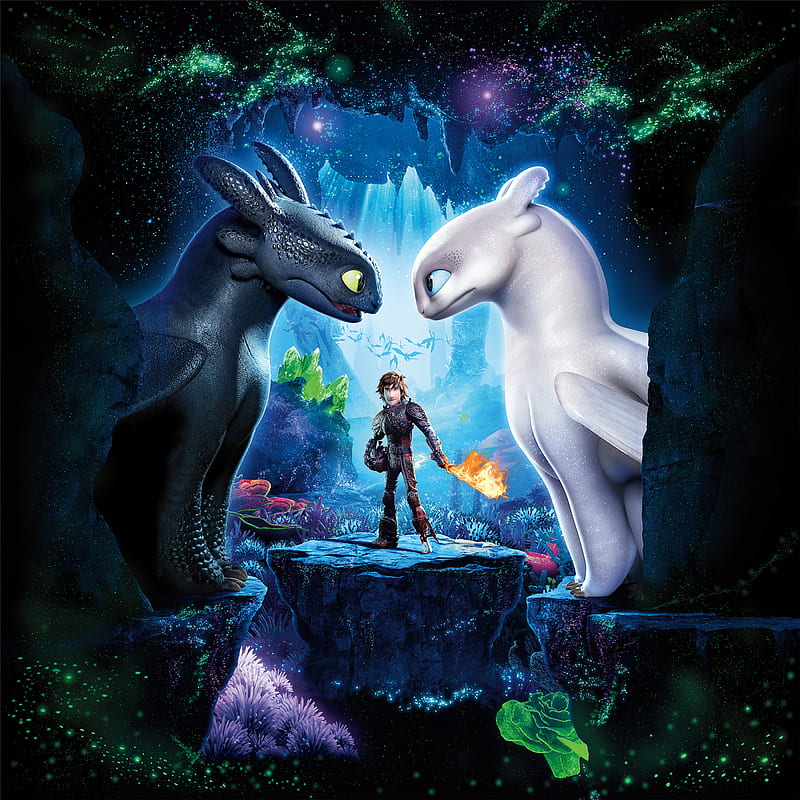 Wallpaper ID 395013  Movie How to Train Your Dragon The Hidden World  Phone Wallpaper Toothless How To Train Your Dragon Hiccup How To Train  Your Dragon 1080x1920 free download