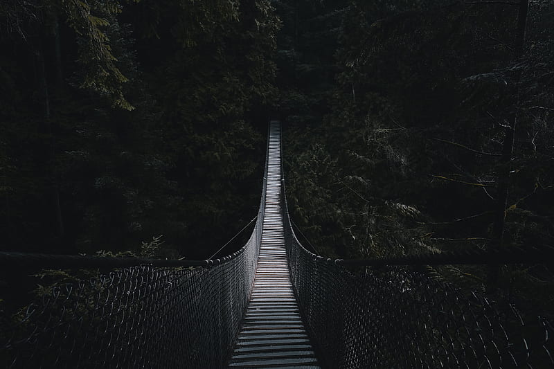 cable bridge, bridge, forest, trees, dark, HD wallpaper