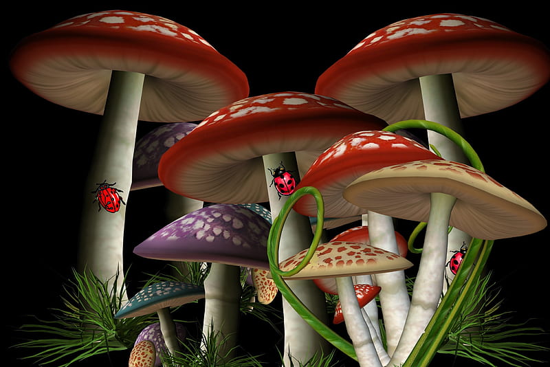 36X24 Inch Illustration Mushrooms, orange, green, bugs, black, yellow, mushrooms, white, HD wallpaper