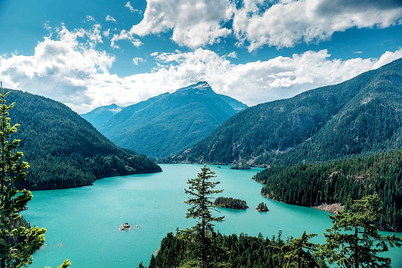 Ross Lake, forest, mountains, summer, Washington, USA, America, HD wallpaper