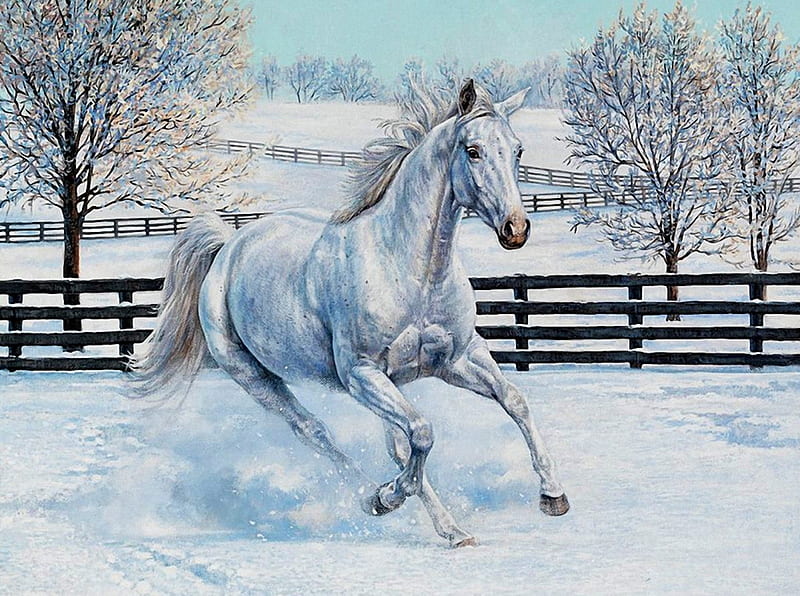 White Horse running, horse, trees, white, winter, HD wallpaper | Peakpx