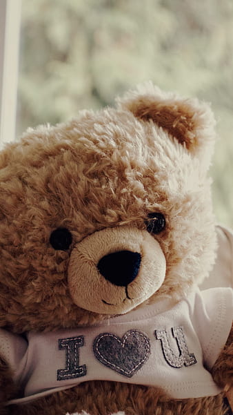 210 Teddy bears ideas in 2023 | teddy, teddy bear pictures, teddy bear  wallpaper