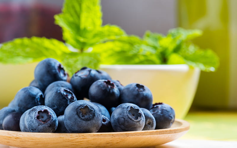 blueberries, berries, healthy food, blueberries in a plate, macro, HD wallpaper