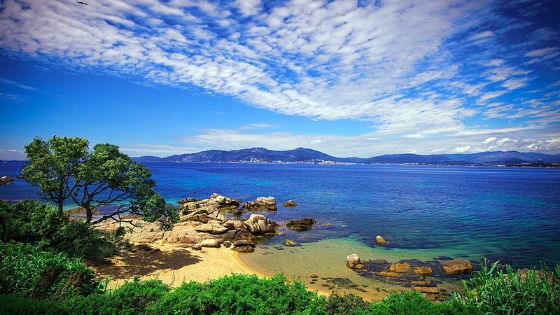 porticcio beach on the mediterranean in corsica, beach, rocks, tree, clouds, sea, HD wallpaper