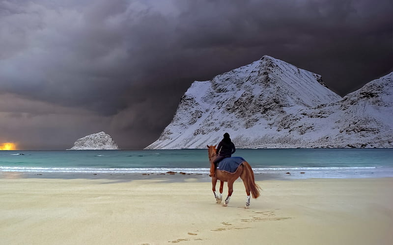 riding a horse on a beach in winter, beach, rider, boulders, horse, sea, winter, HD wallpaper