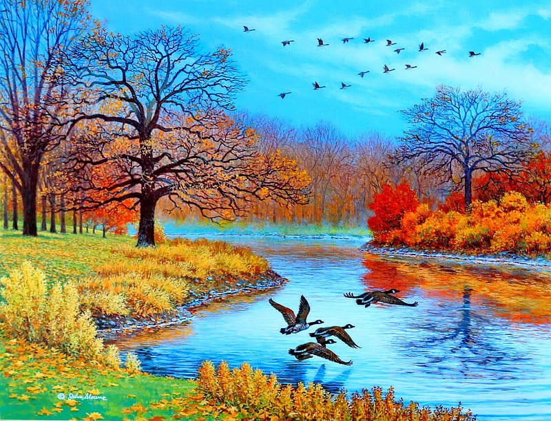 Peaceful Autumn, forest, autumn, birds, lake, art work, swans, splendor, paradise, painting, nature, beautiful sky, perfect autumn, HD wallpaper