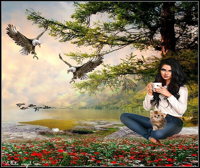 Peaceful, fantasy, eagle, birds, nature, cat, woman, HD wallpaper Peaceful, fantasy, eagle, birds, nature, cat, woman, HD wallpaper