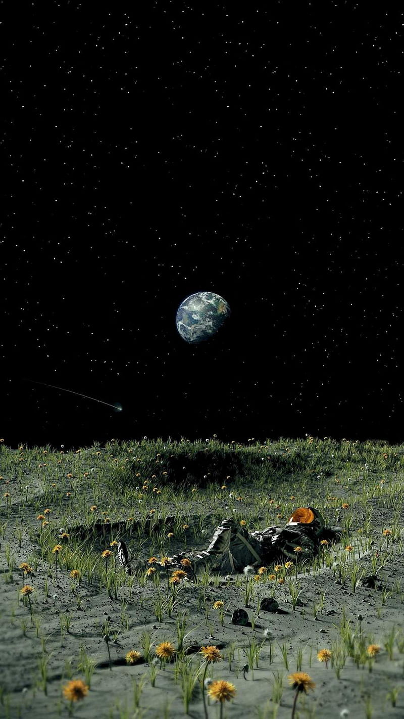 Moon Garden Astronaut - IPhone : iPhone, Astronaut On the Moon, HD phone wallpaper
