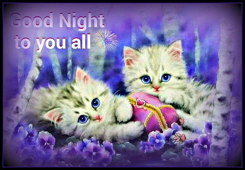 Good Night, Purple, Cats, Blue Eyes, Kittens, Flowers, Animals, HD ...