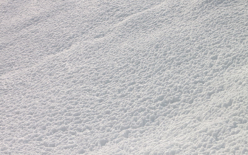 snow texture macro, hoarfrost, winter backgrounds, white snow background, snow textures, snow, hoarfrost textures, HD wallpaper