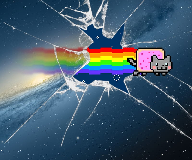 Nyan Cat, cute, kitty, rainbow, HD wallpaper