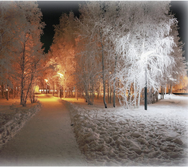 Winter Light, light, winter, HD wallpaper