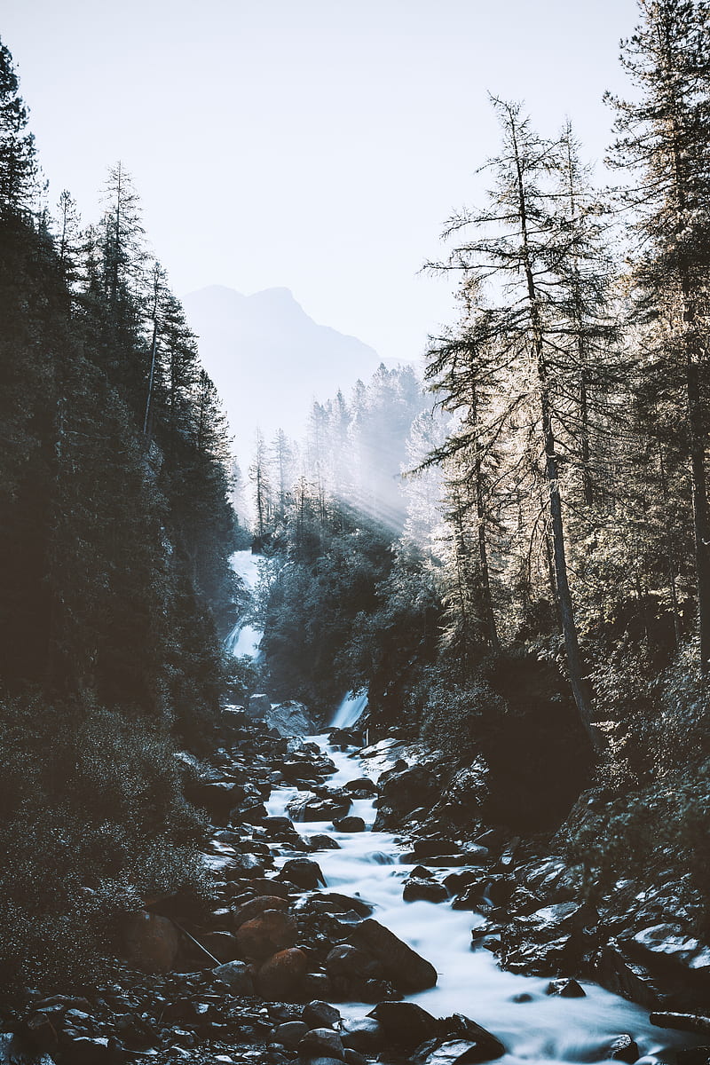 river, forest, mountains, sunlight, landscape, morning, HD phone wallpaper