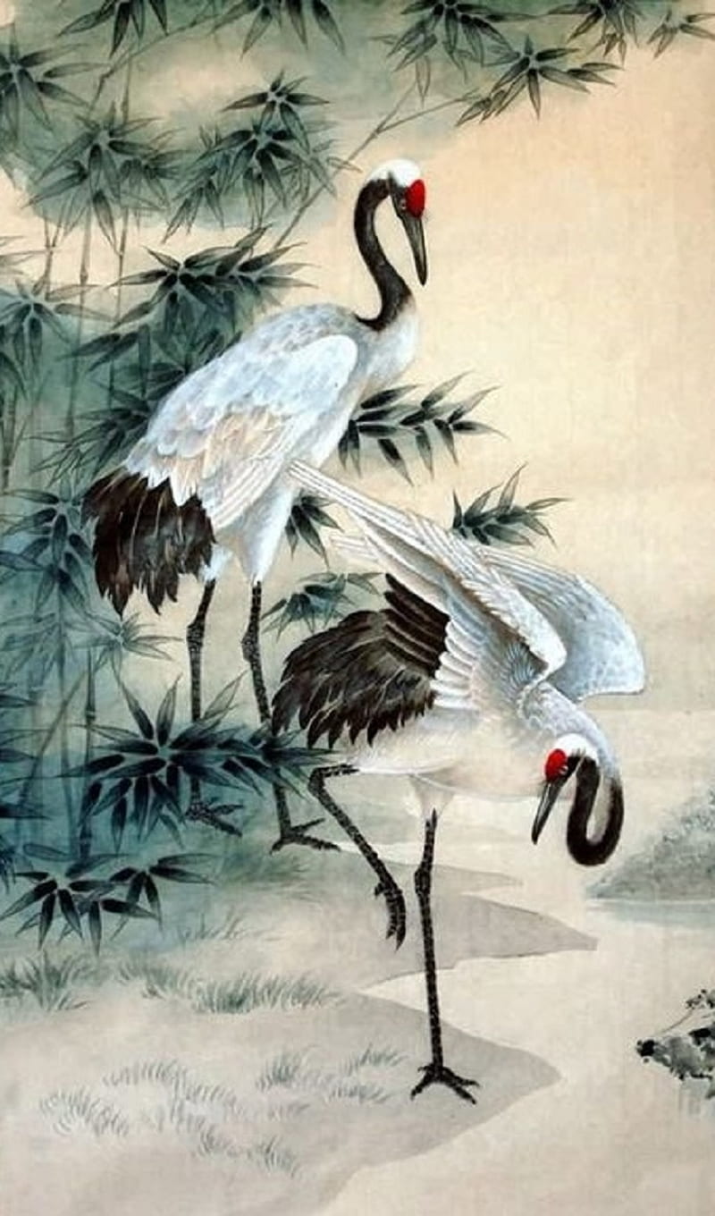 Crane, bird, HD phone wallpaper