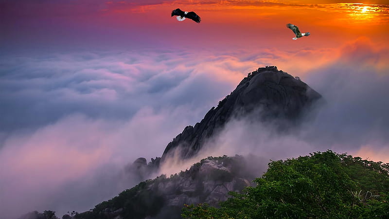 High Above the Clouds, sksy, eagles, mountains, peaks, sunrise, sunset, clouds, Firefox Persona theme, HD wallpaper